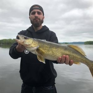 Meet your Posher, Sam